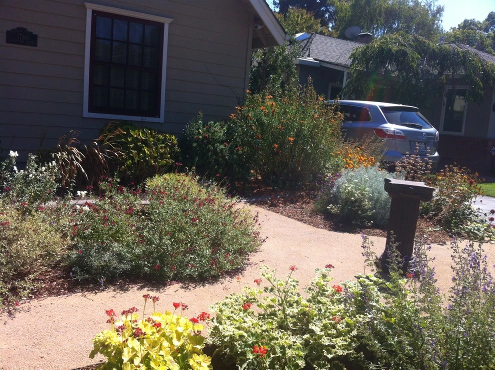 Formal Garden with low water plants by Hortus Design Sustainable Landscapes - Photo 31