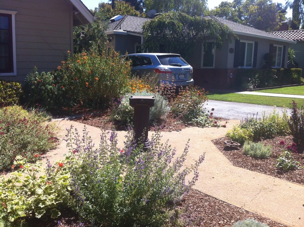 Formal Garden with low water plants by Hortus Design Sustainable Landscapes - Photo 2