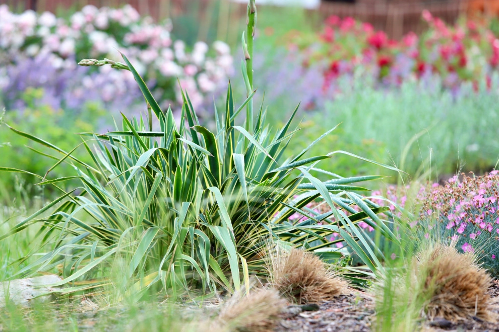 Front Yard Pollinator Paradise by Earth Essence Designs - Photo 36