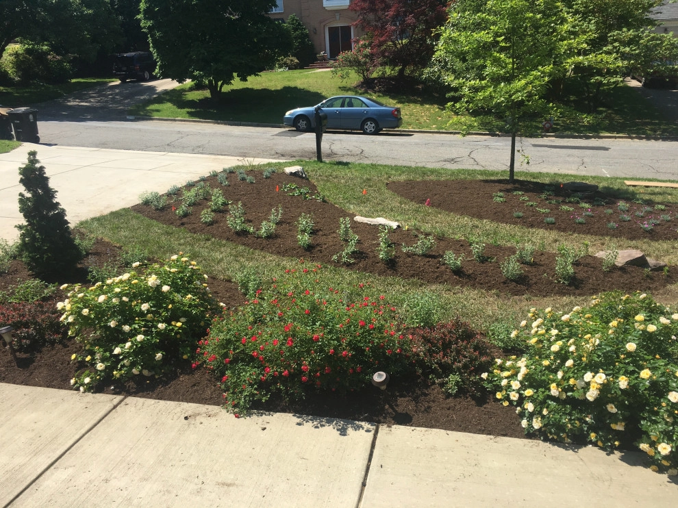 Front Yard Pollinator Paradise by Earth Essence Designs - Photo 32