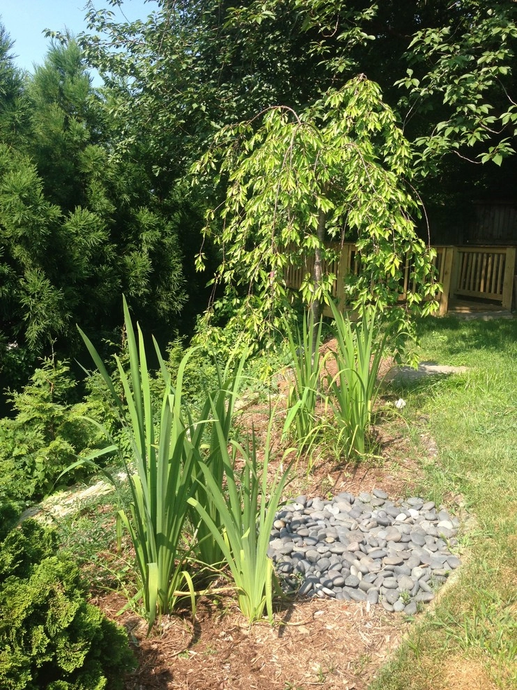 Earth Essence Designs - Photo 11