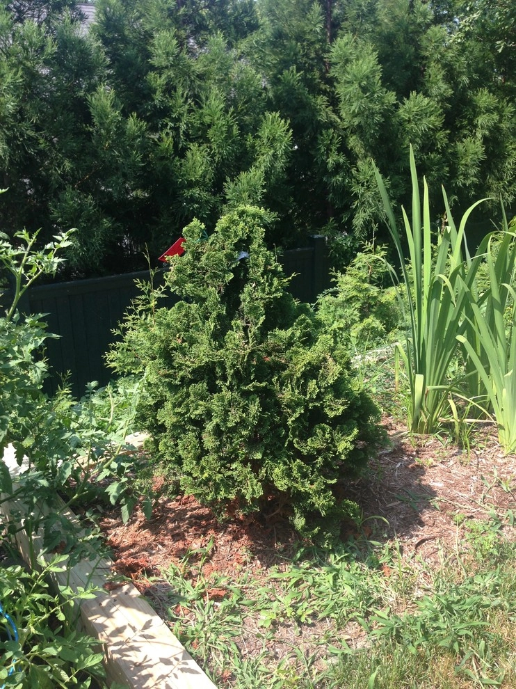 Old Chester Rd by Earth Essence Designs - Photo 38