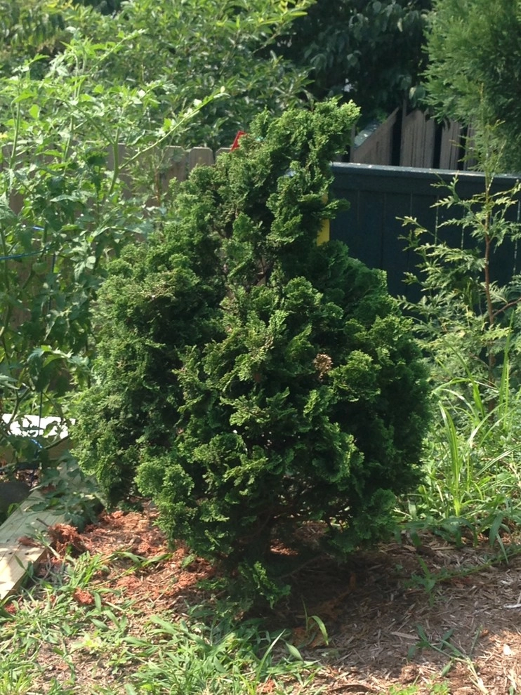 Old Chester Rd by Earth Essence Designs - Photo 15