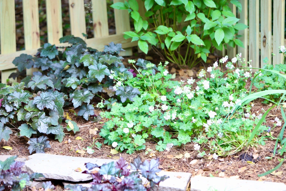 Drainage and shade by Earth Essence Designs - Photo 3