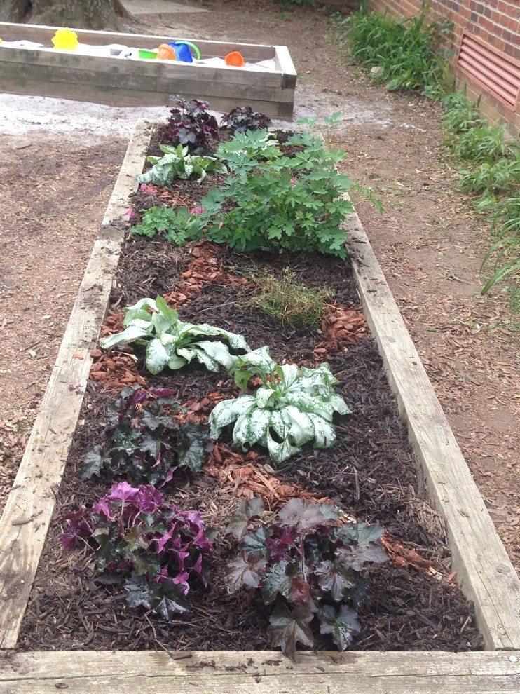Kindergarten Courtyard by Earth Essence Designs - Photo 2