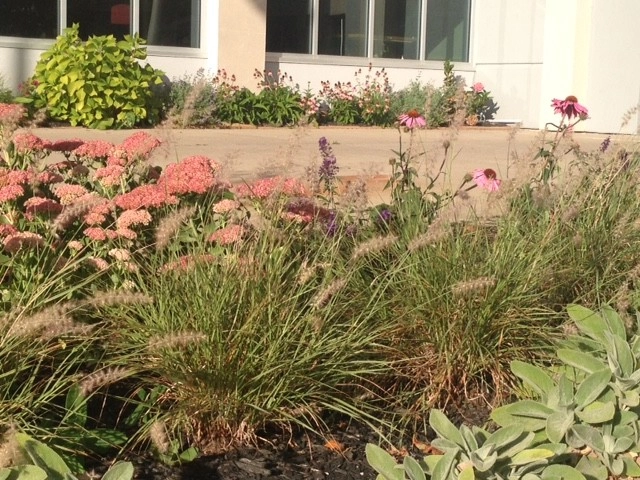 Warsaw County Community Hospital - Skilled Nursing Facility by Earth Essence Designs - Photo 16