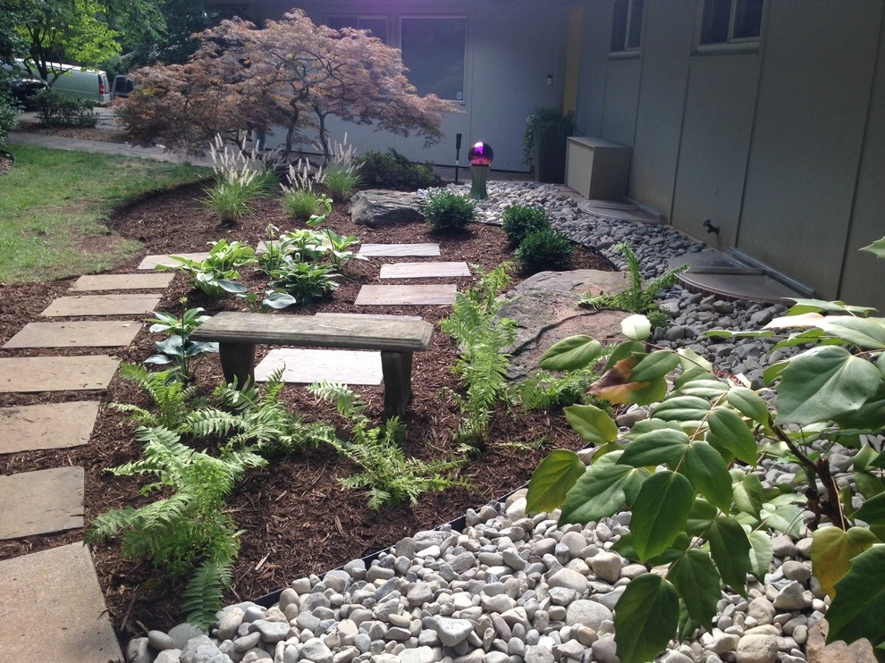 Contemporary Foundation Planting by Earth Essence Designs - Photo 3