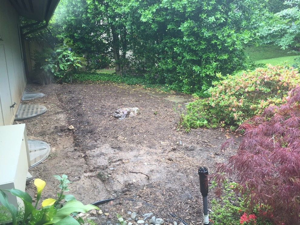 Contemporary Foundation Planting by Earth Essence Designs - Photo 8