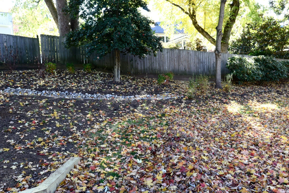 Backyard creek bed by Earth Essence Designs - Photo 7