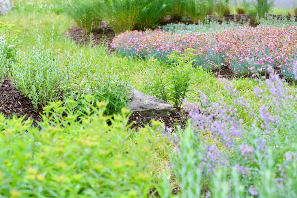 Front Yard Pollinator Paradise by Earth Essence Designs - Photo 37
