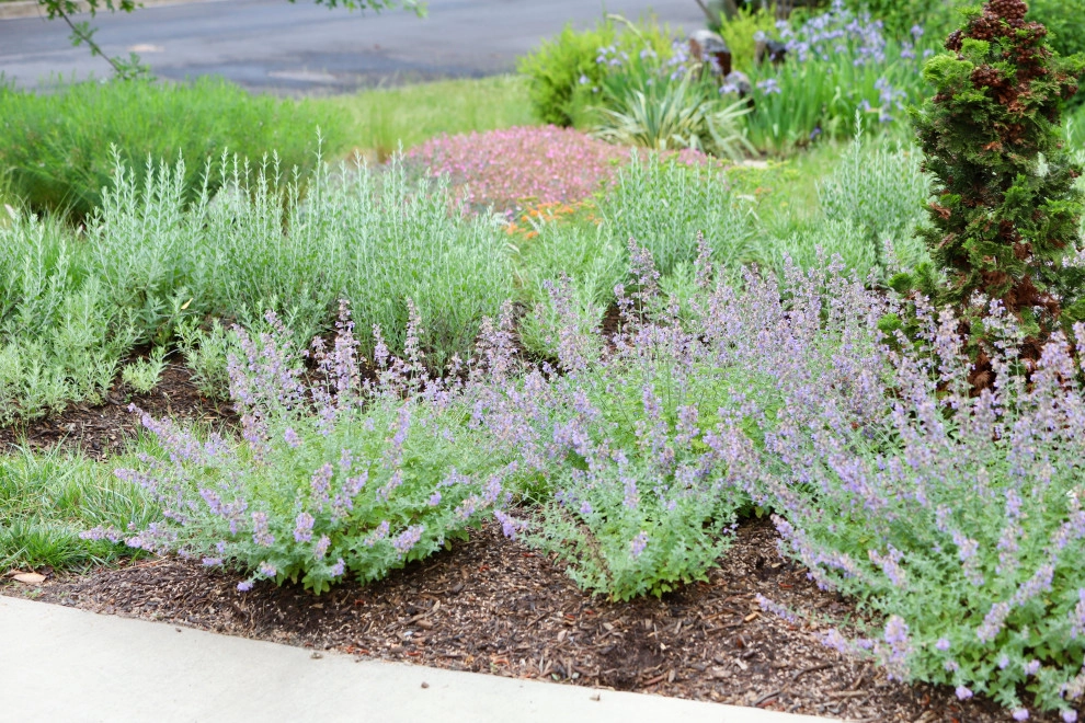 Front Yard Pollinator Paradise by Earth Essence Designs - Photo 12