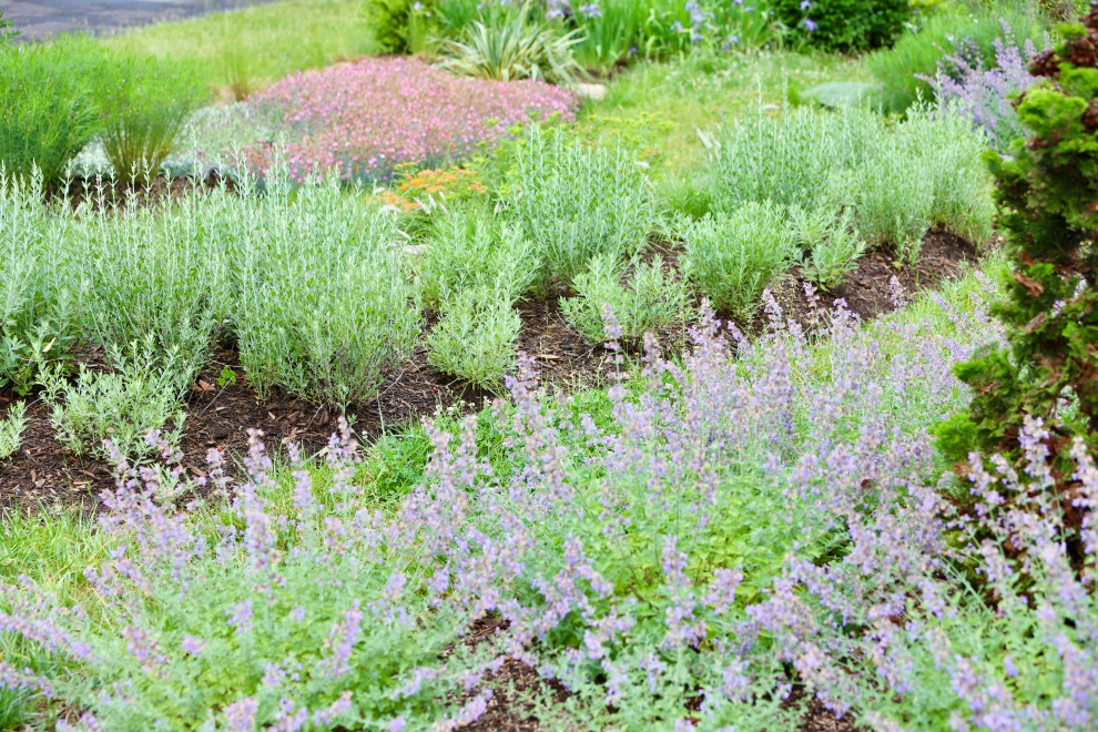 Front Yard Pollinator Paradise by Earth Essence Designs - Photo 26