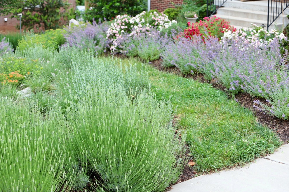 Front Yard Pollinator Paradise by Earth Essence Designs - Photo 10