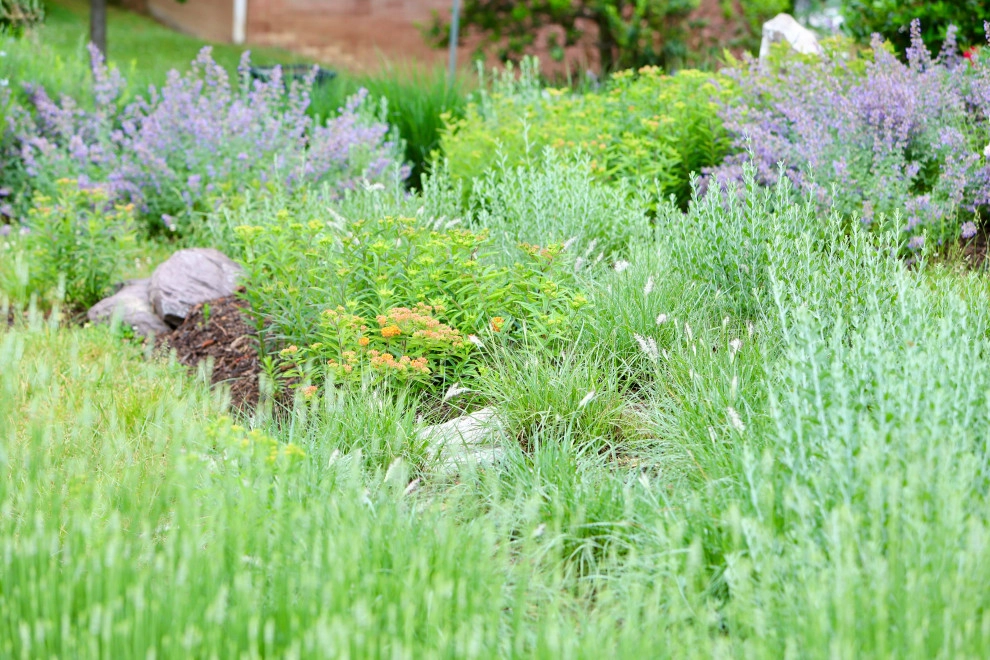 Front Yard Pollinator Paradise by Earth Essence Designs - Photo 7