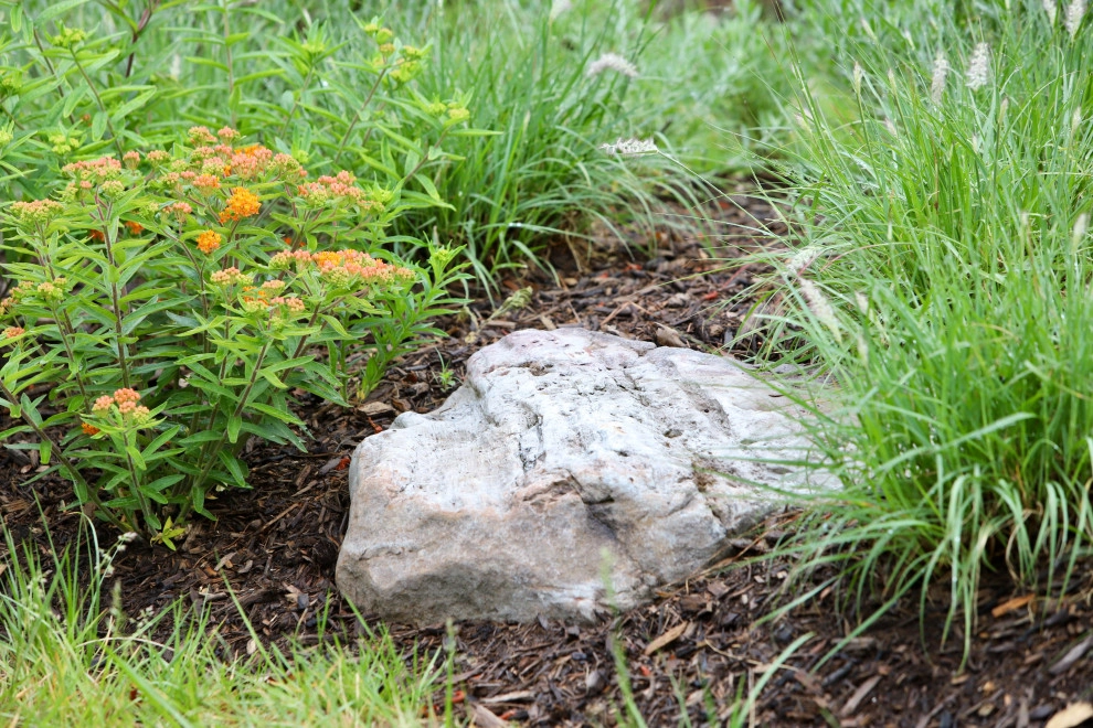 Front Yard Pollinator Paradise by Earth Essence Designs - Photo 8