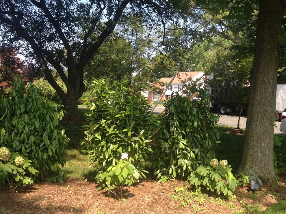 Old Chester Rd by Earth Essence Designs - Photo 21