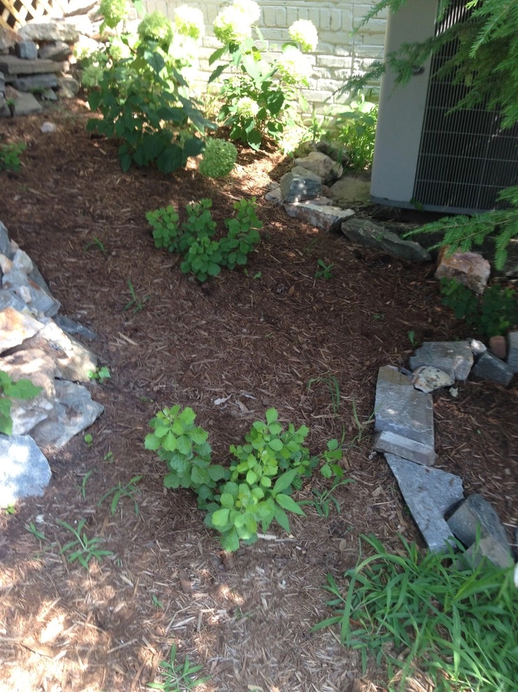 Old Chester Rd by Earth Essence Designs - Photo 31