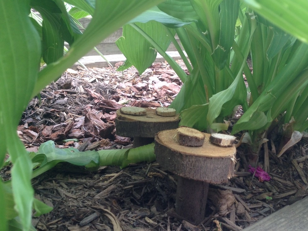 Kindergarten Courtyard by Earth Essence Designs - Photo 3