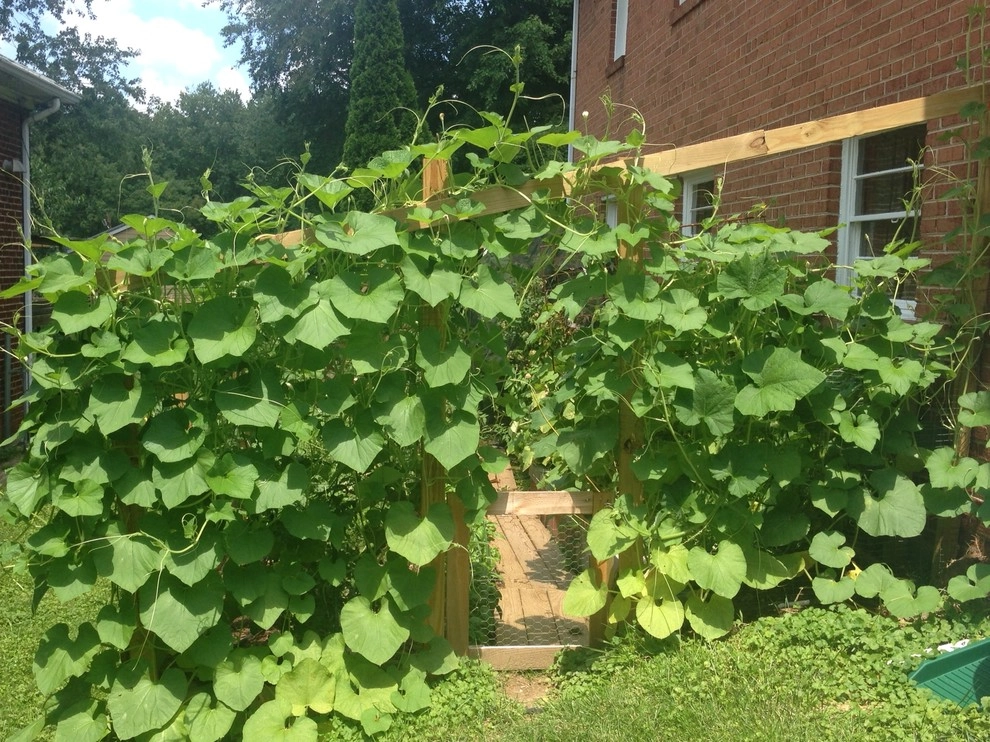 Incorporating kids in the landscape by Earth Essence Designs - Photo 3