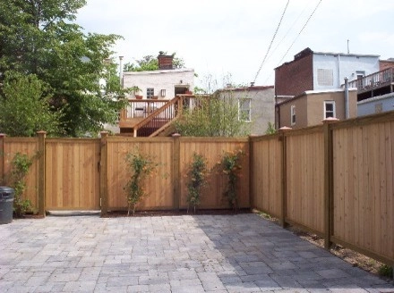 DC urban backyard by Earth Essence Designs - Photo 2