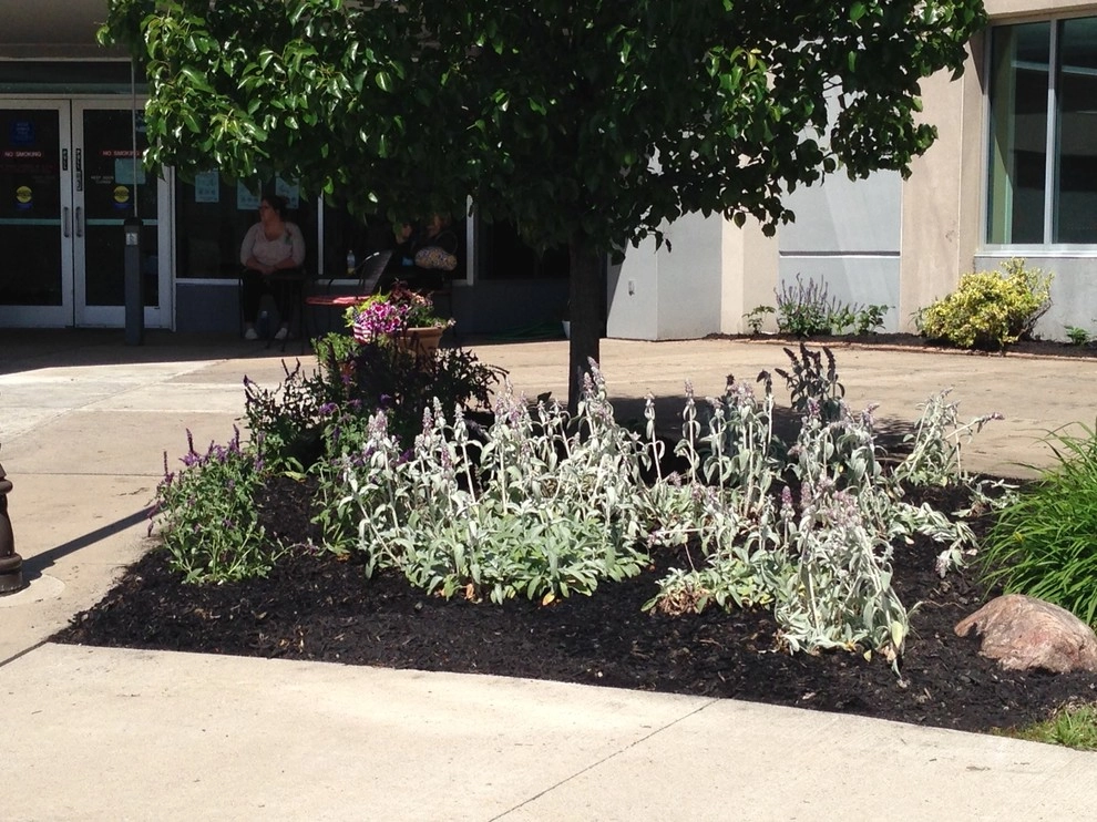 Warsaw County Community Hospital - Skilled Nursing Facility by Earth Essence Designs - Photo 12