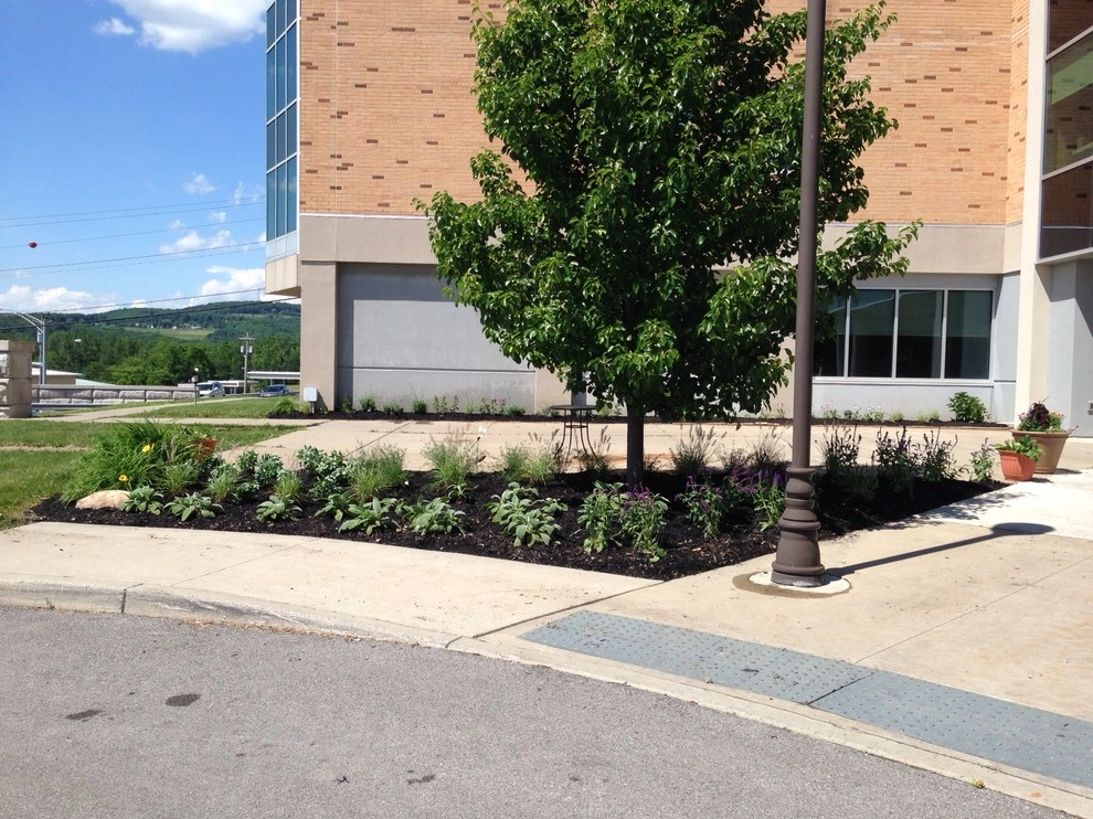 Warsaw County Community Hospital - Skilled Nursing Facility by Earth Essence Designs - Photo 3