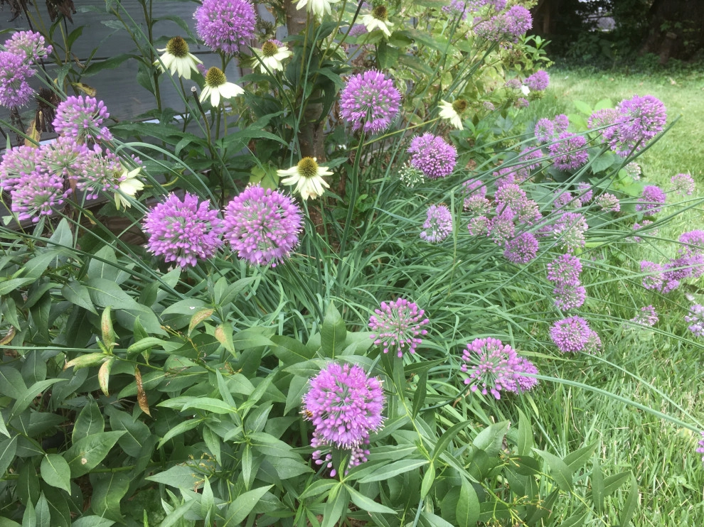 Herb garden by Earth Essence Designs - Photo 5