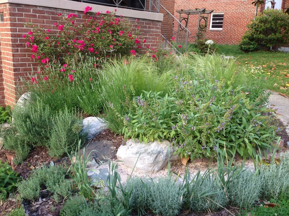 Herb garden by Earth Essence Designs - Photo 14