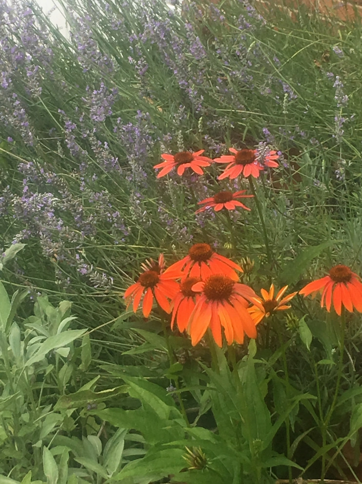 Herb garden by Earth Essence Designs - Photo 4