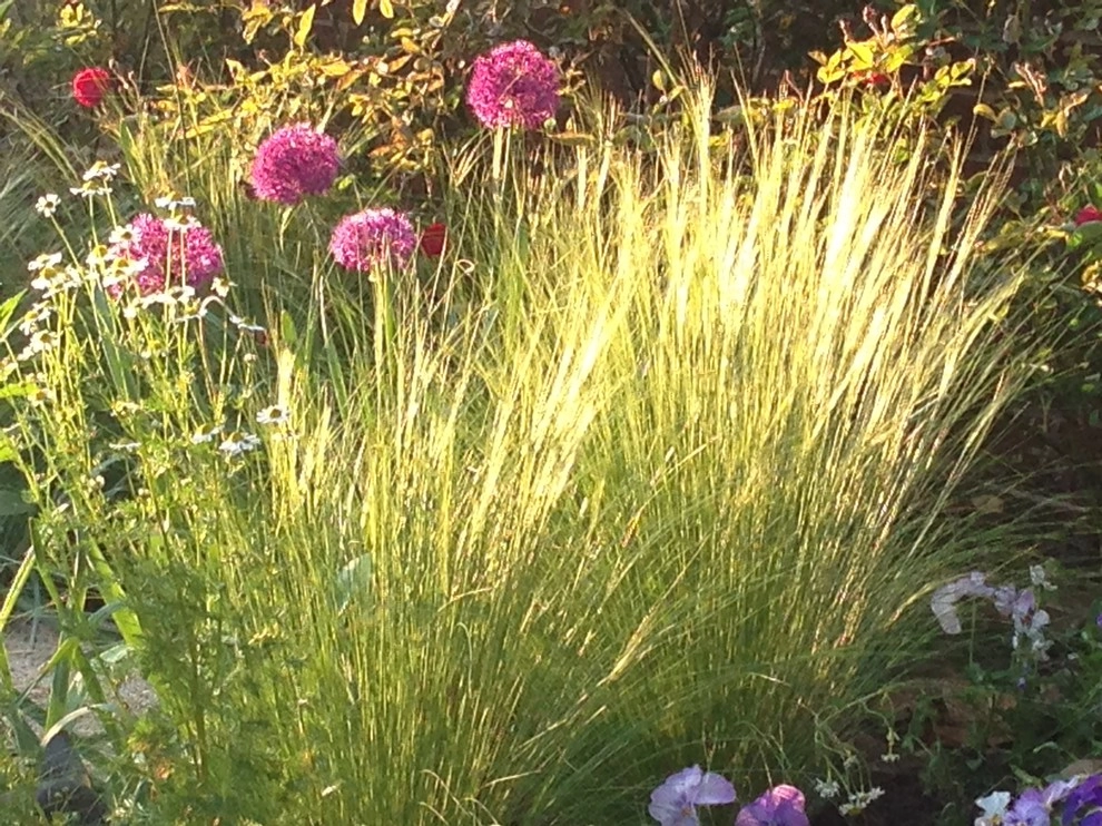 Herb garden by Earth Essence Designs - Photo 6