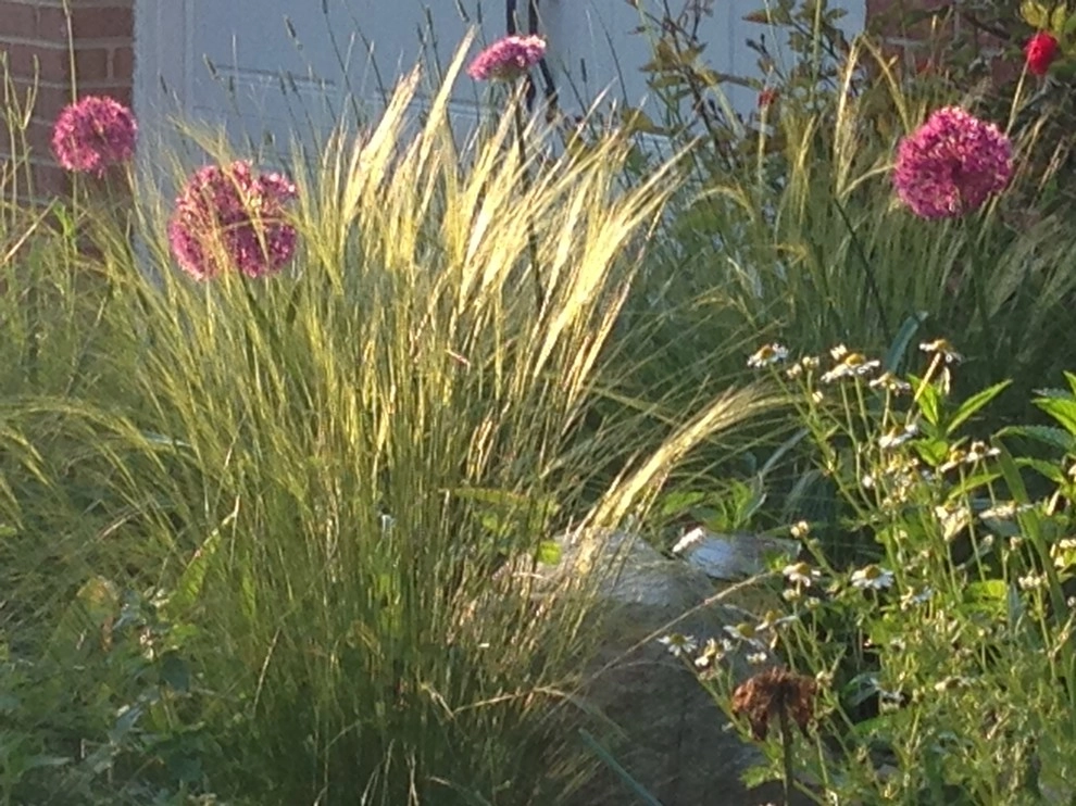 Herb garden by Earth Essence Designs - Photo 2