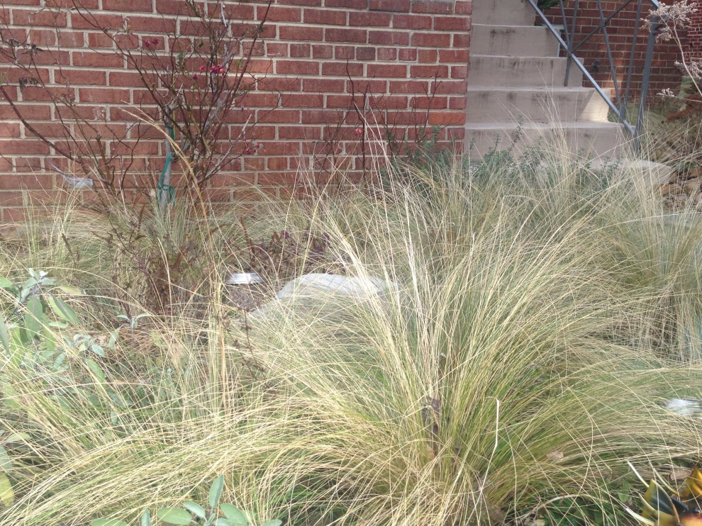 Herb garden by Earth Essence Designs - Photo 3