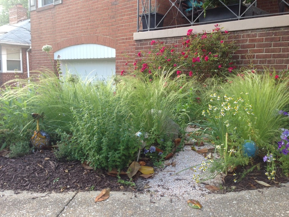 Herb garden by Earth Essence Designs - Photo 10