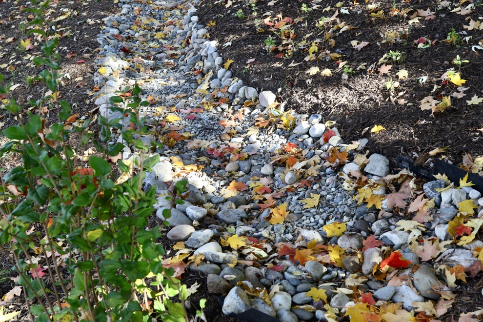 Backyard creek bed by Earth Essence Designs - Photo 10