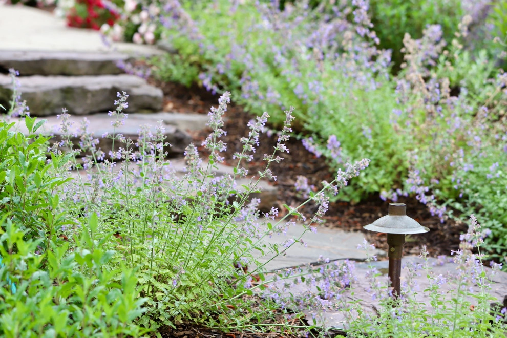 Front Yard Pollinator Paradise by Earth Essence Designs - Photo 9