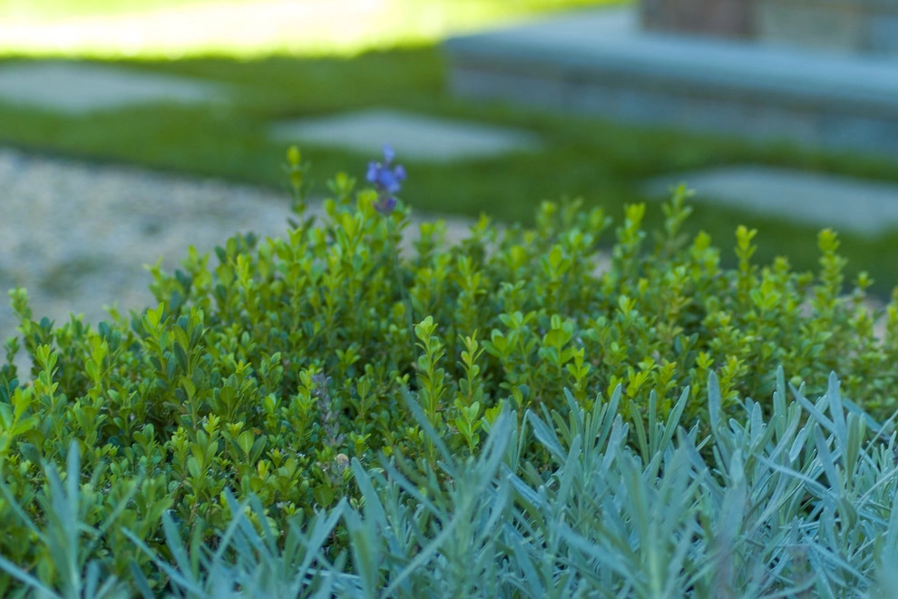Contemporary Landscape by A Blade Of Grass - Photo 23