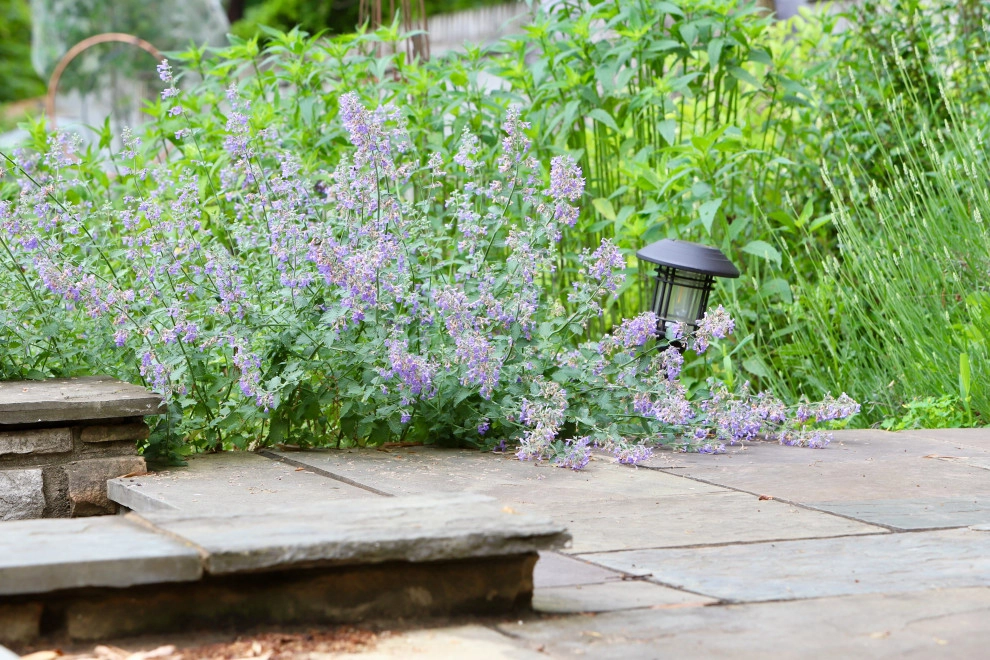 Deer resistant backyard by Earth Essence Designs - Photo 4