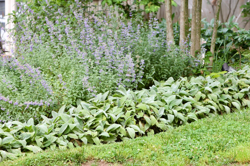 Deer resistant backyard by Earth Essence Designs - Photo 12