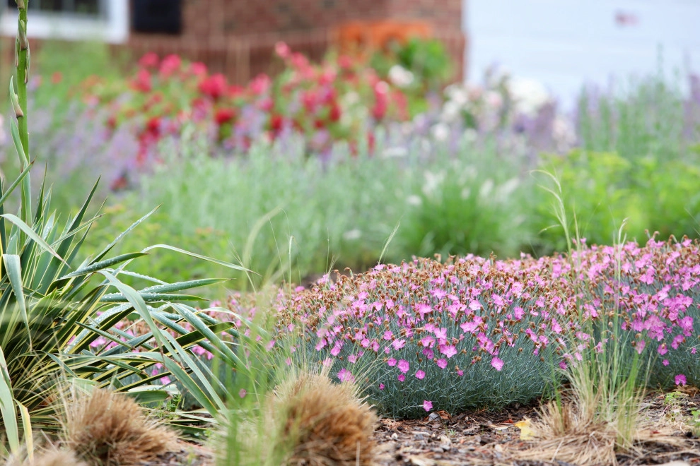 Front Yard Pollinator Paradise by Earth Essence Designs - Photo 31