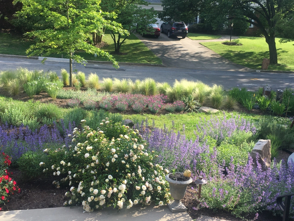 Front Yard Pollinator Paradise by Earth Essence Designs - Photo 17