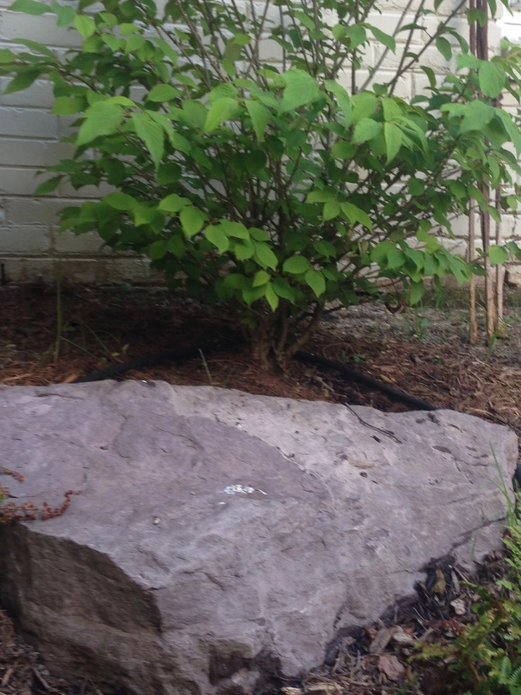 Old Chester Rd by Earth Essence Designs - Photo 11