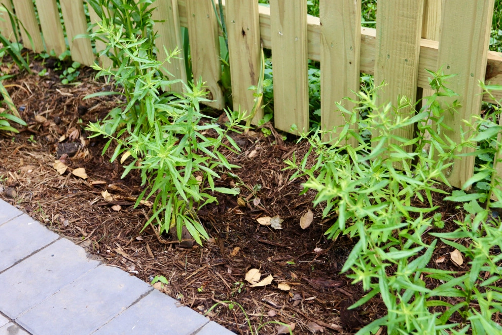 Drainage and shade by Earth Essence Designs - Photo 8