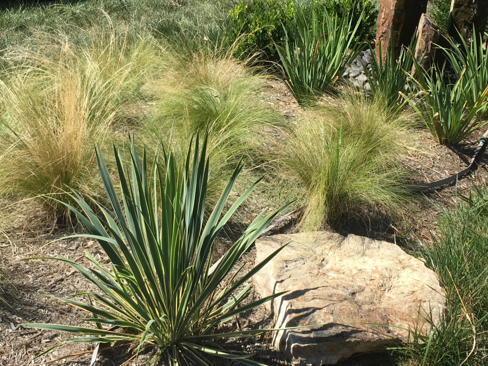 Boulders by Earth Essence Designs - Photo 8