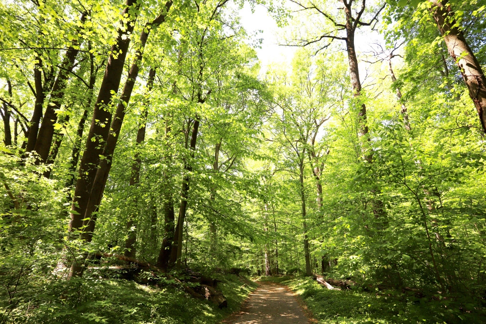 Inspiring landscapes by Earth Essence Designs - Photo 9