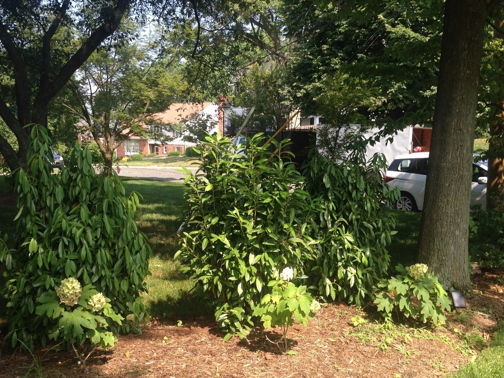 Old Chester Rd by Earth Essence Designs - Photo 14