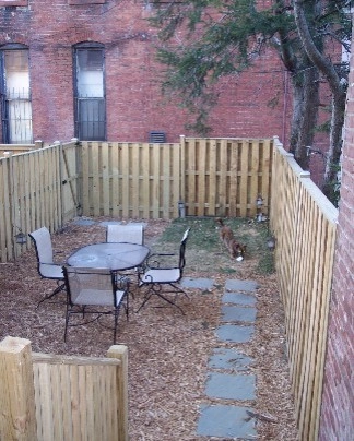 DC rowhouse before and after by Earth Essence Designs - Photo 2