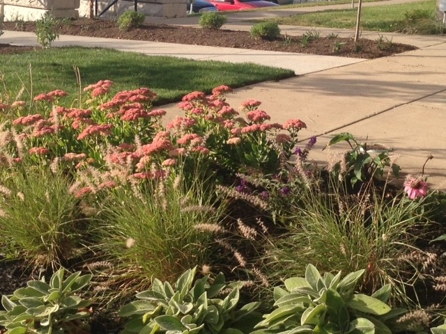Warsaw County Community Hospital - Skilled Nursing Facility by Earth Essence Designs - Photo 8