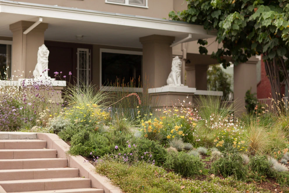 Wilton residence by Native By Design Landscapes - Photo 4