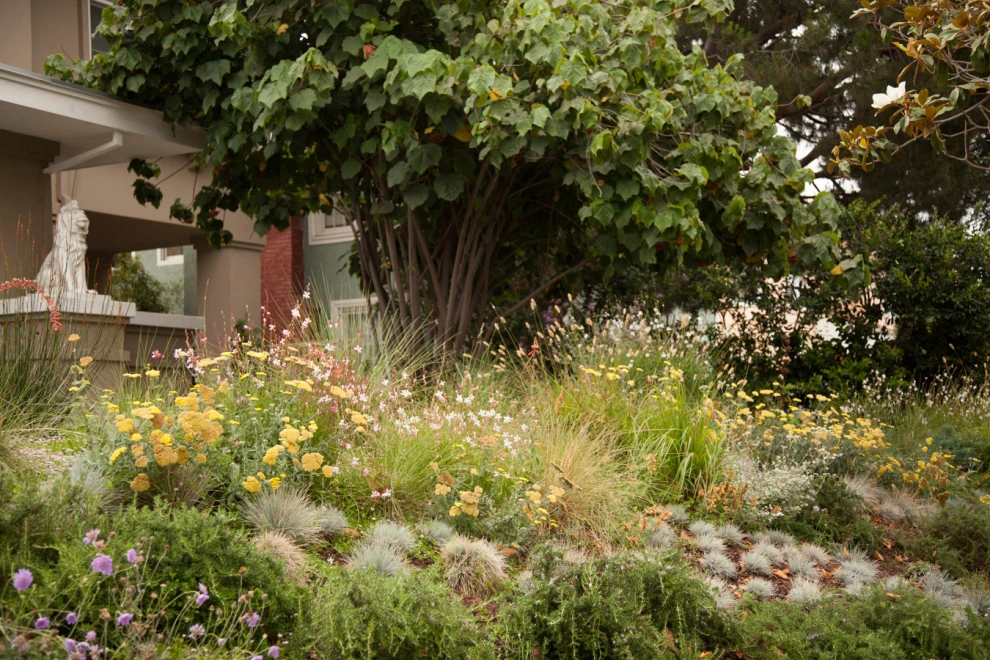 Wilton residence by Native By Design Landscapes - Photo 3