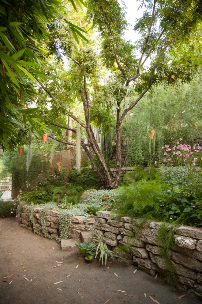 Elysian Park residence by Native By Design Landscapes - Photo 10